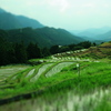 丸山千枚田