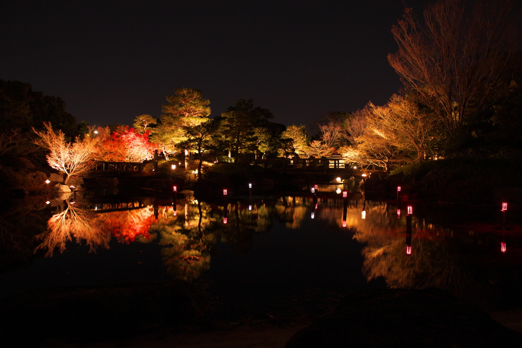 ライトアップ 白鳥庭園 冬の情景