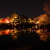 ライトアップ 白鳥庭園 冬の情景