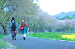 桜、終わりだね