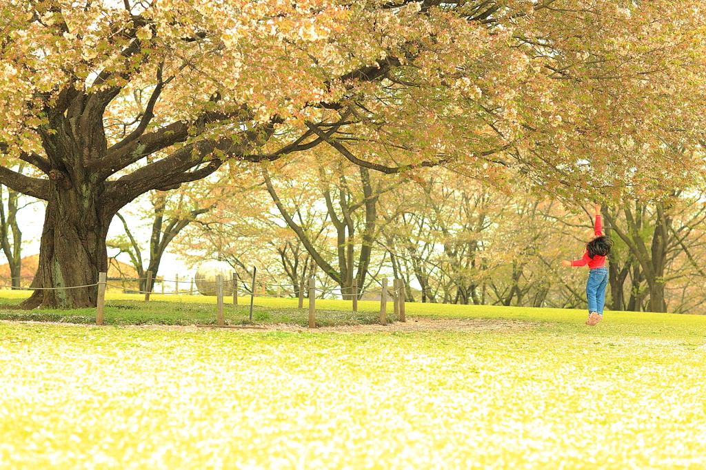 遊びにきたよ