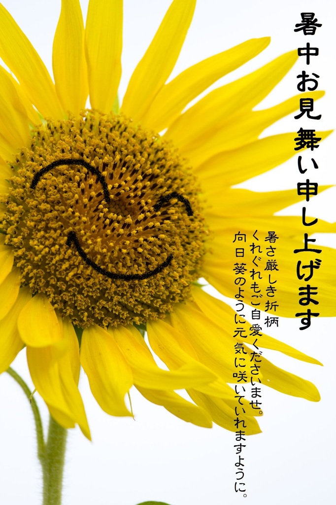 PHOTOHITOのみなさまへ