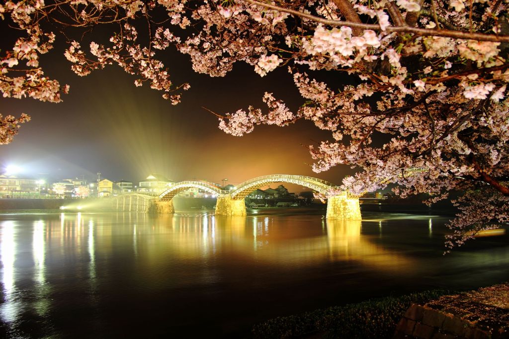 錦帯橋　夜桜～キンイロ