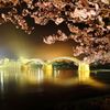 錦帯橋　夜桜～キンイロ