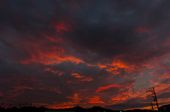 緋色の空