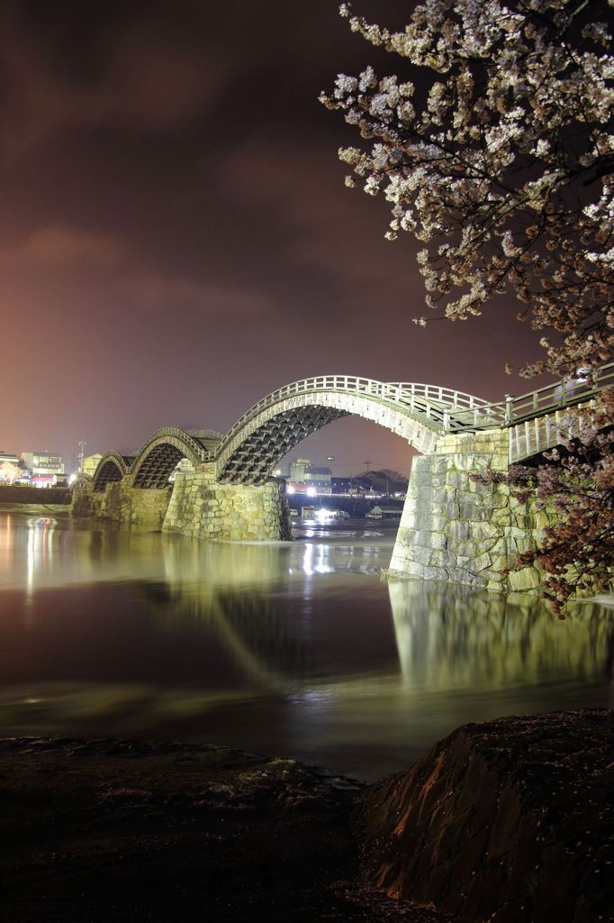 錦帯橋　夜桜