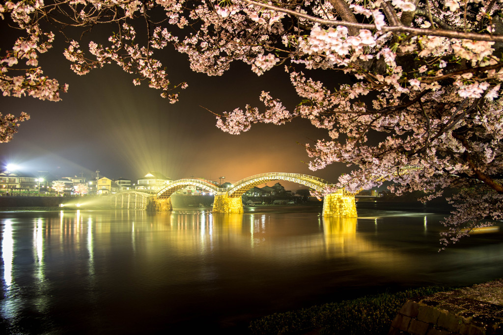 夜桜　金色の錦帯橋