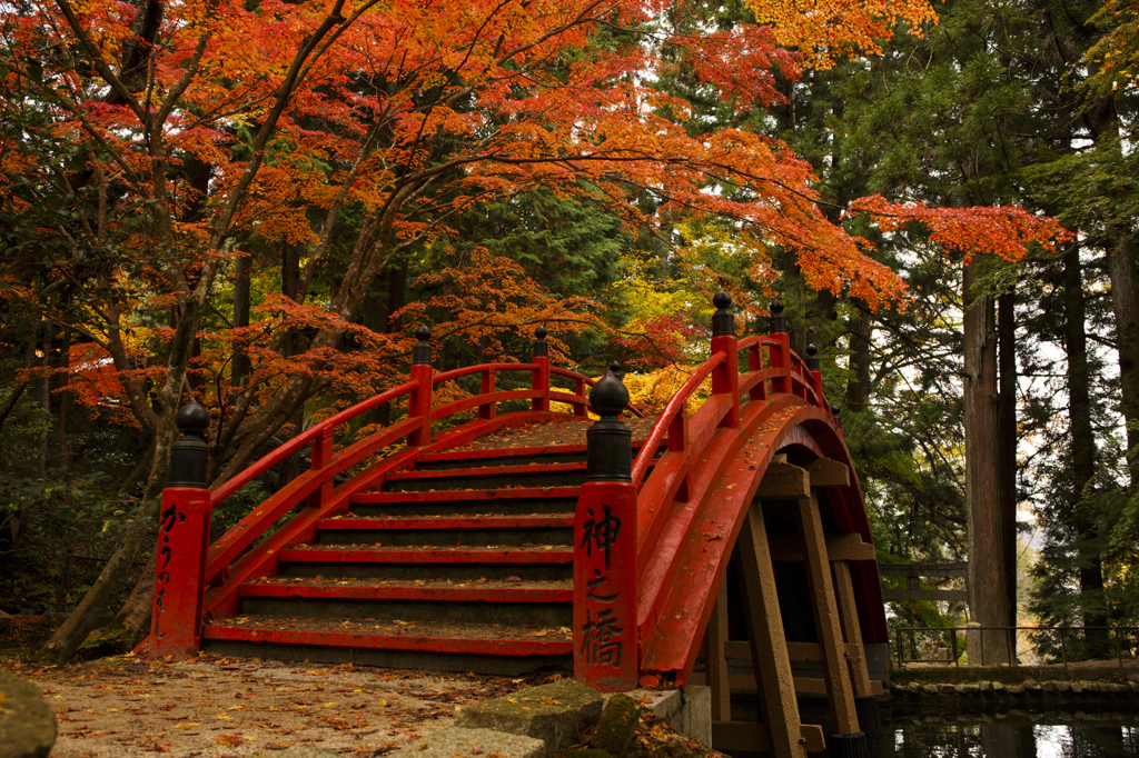 朱い橋と紅葉