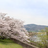 尾関山公園