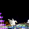 Shining Swan