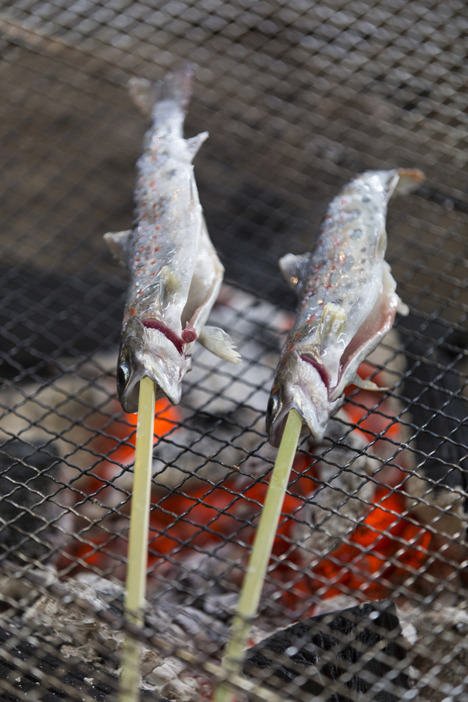 山の恵み