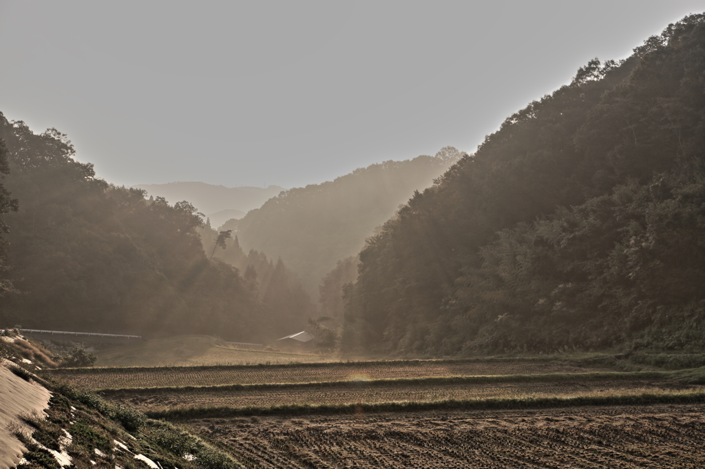 里山の朝