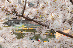 釣堀