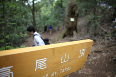 高尾山