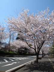 通勤路