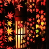 清水竹灯り