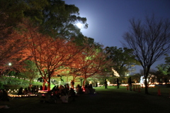 月夜の花見