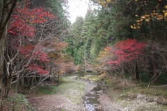 晩秋
