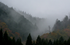 霜月の雨