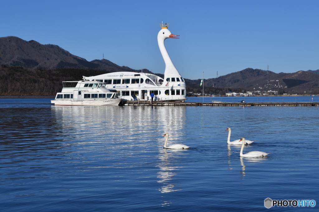 白鳥の湖