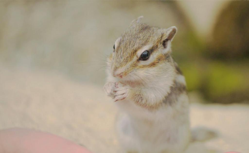 母の日に♡