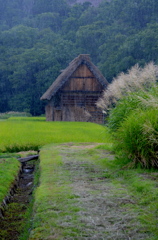折からの雨に