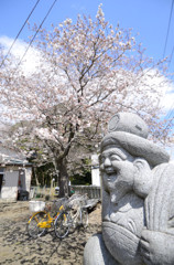 笑顔あふれる春の顔