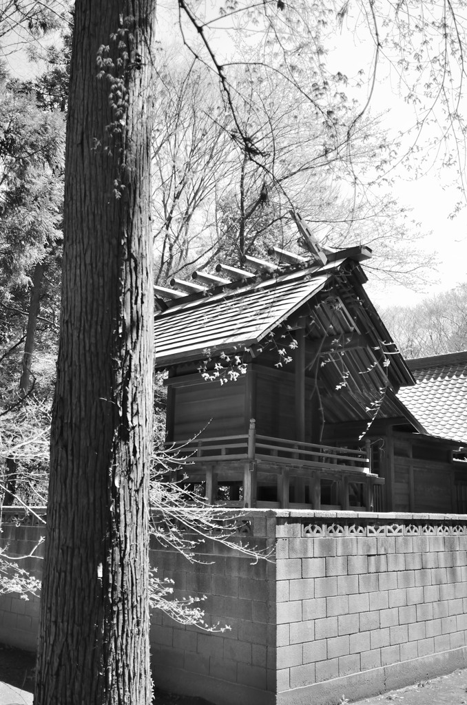 神社
