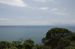 _DSC0335
