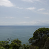 _DSC0335