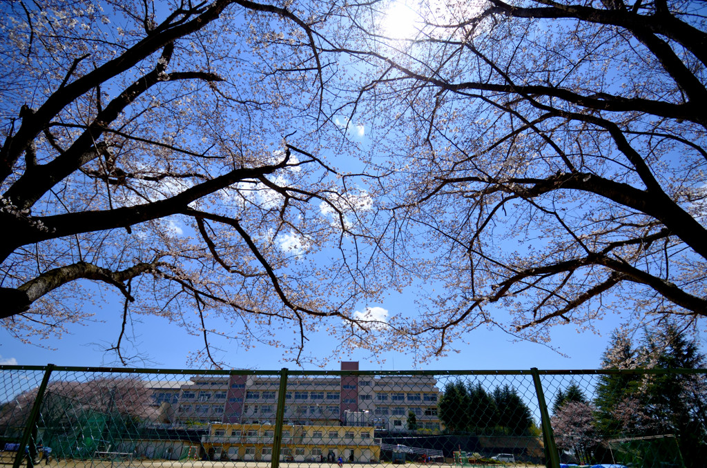 間もなく学校の主役に