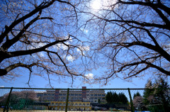 間もなく学校の主役に