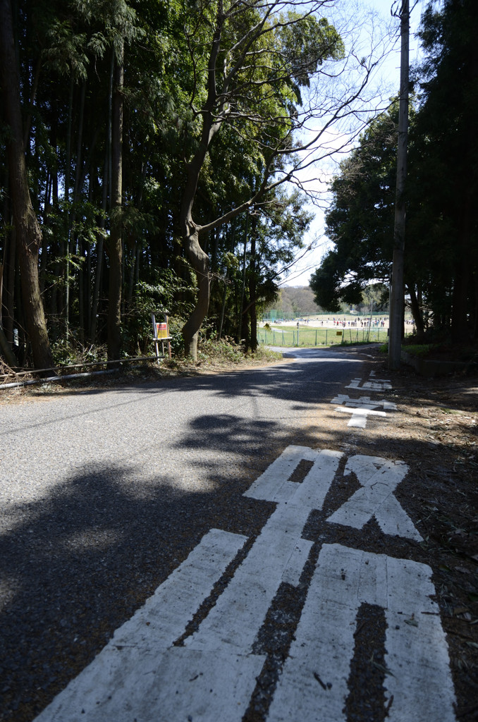 通学路