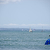 _DSC0332