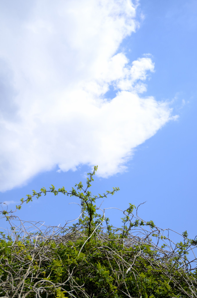広い空