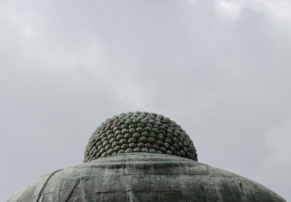 _DSC0313