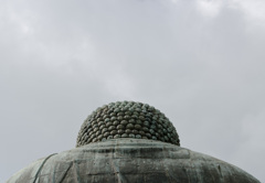 _DSC0313