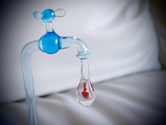 蛇口から出て来たの何だ？