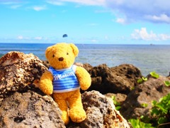 海の男っぽい？