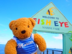 フィッシュアイマリンパークとマリンルック