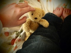 小さいけど、クマだけど、ぬいぐるみだけど、大事な家族