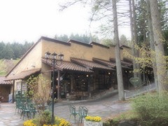 レッツお土産ターイム！