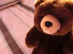 鹿児島空港から