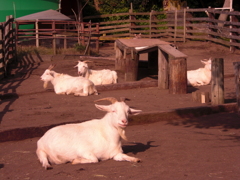 何見てんのさ？