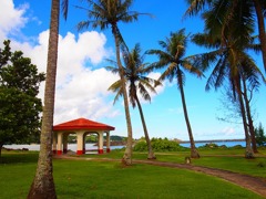 のんびりお散歩しようかな