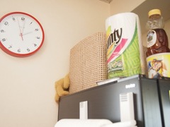 頭隠して尻隠さず