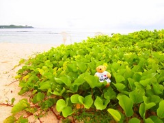 ここにいるよ。ここですぞ～