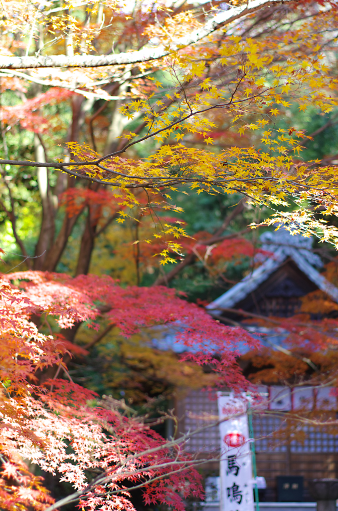 寂光院