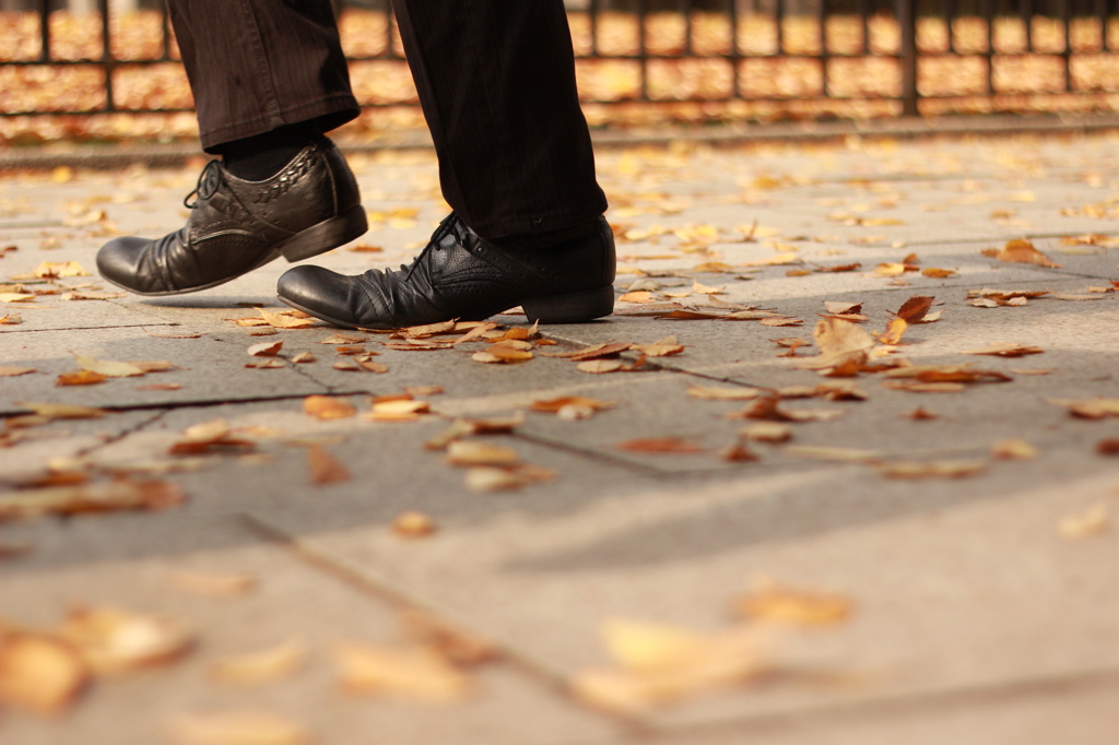 Load - autumn - #1