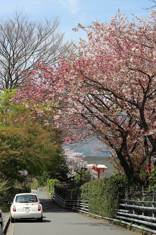 hakone